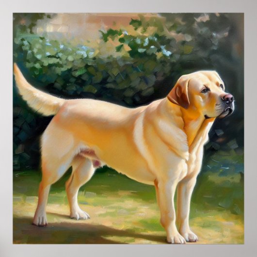 Labrador Retriever Dog Poster (Vorne)