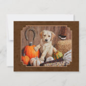 Labrador Retriever Dog & Pumpkins Brown Einladung (Vorderseite)