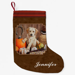 Labrador Retriever Dog & Pumpkins Brown Kleiner Weihnachtsstrumpf