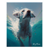 Labrador Retriever dog swimming in water 004 Poster (Vorderseite)