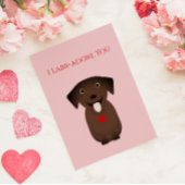 Labrador Retriever Dog Valentine, Valentinstag