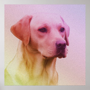 Labrador Retriever Dog Watercolor Portrait 01 Poster