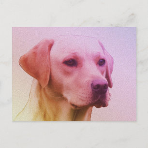 Labrador Retriever Dog Watercolor Portrait 01 Postkarte