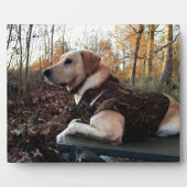 Labrador Retriever Duck Hunter's Ultimate Weapon C Fotoplatte (Vorderseite)