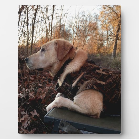 Labrador Retriever Duck Missile auf dem Launch Pad Fotoplatte (Vorderseite)