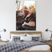 Labrador Retriever Duck Missile auf dem Launch Pad Leinwanddruck (Insitu (Schlafzimmer))