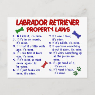 LABRADOR RETRIEVER-Eigentumsrechte Postkarte