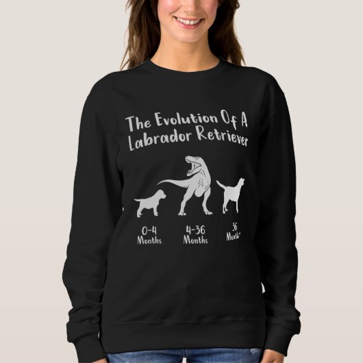 Labrador Retriever Evolution Labrador Sweatshirt (Vorderseite)