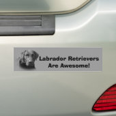 Labrador-Retriever-fantastischer Autoaufkleber (Auf Auto)