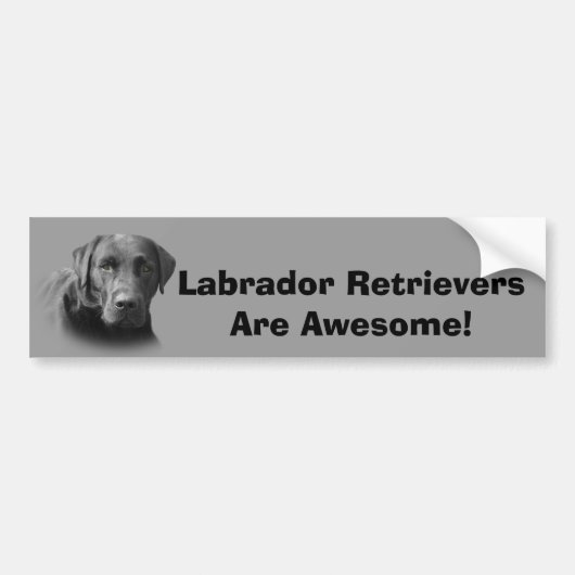 Labrador-Retriever-fantastischer Autoaufkleber (Vorne)