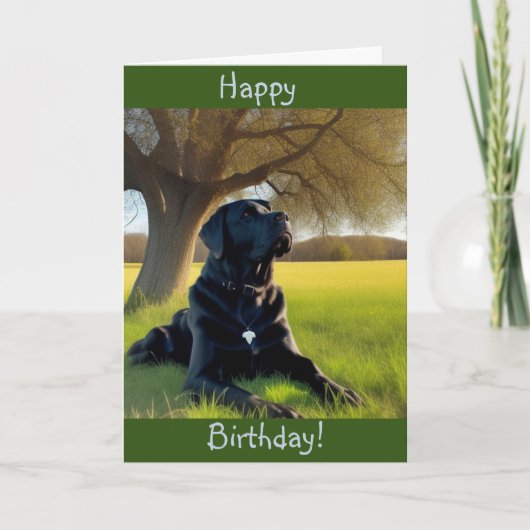 Labrador Retriever Geburtstag Karte (Vorderseite)