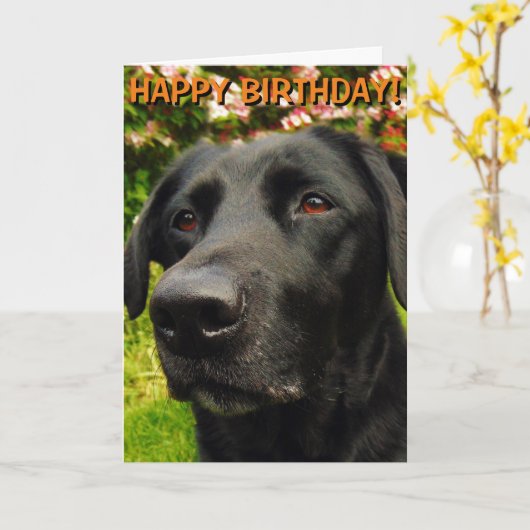 Labrador Retriever Geburtstagkarte Karte (Gelbe Blume)