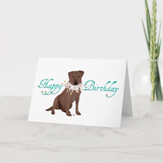Labrador Retriever Geburtstagsgrüße Karte (Vorderseite)