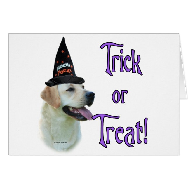 Labrador Retriever (gelb) Trick (Vorderseite (Horizontal))