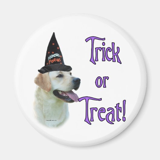 Labrador Retriever (gelb) Trick Magnet (Vorne)