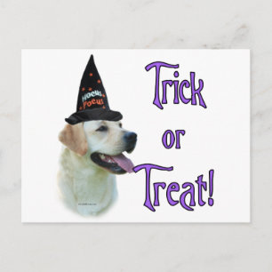 Labrador Retriever (gelb) Trick Postkarte