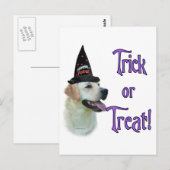 Labrador Retriever (gelb) Trick Postkarte (Vorne/Hinten)