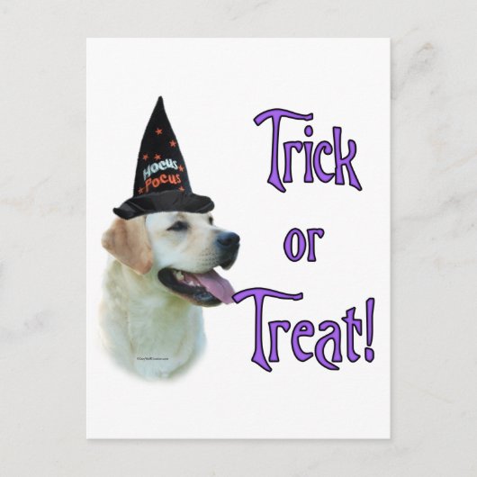 Labrador Retriever (gelb) Trick Postkarte (Vorderseite)