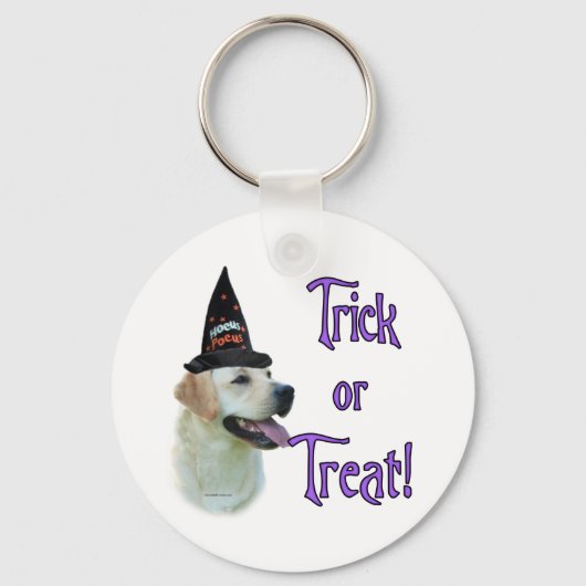 Labrador Retriever (gelb)Trick Schlüsselanhänger (Vorderseite)