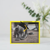 Labrador Retriever gelbe Gratulationshats Postkarte (Stehend Vorderseite)