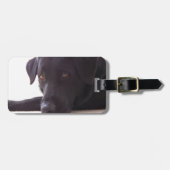 labrador retriever gepäckanhänger (Vorderseite horizontal)