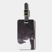 labrador retriever gepäckanhänger (Vorderseite vertikal)