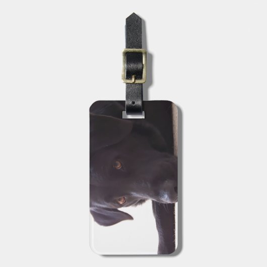 labrador retriever gepäckanhänger (Vorderseite vertikal)