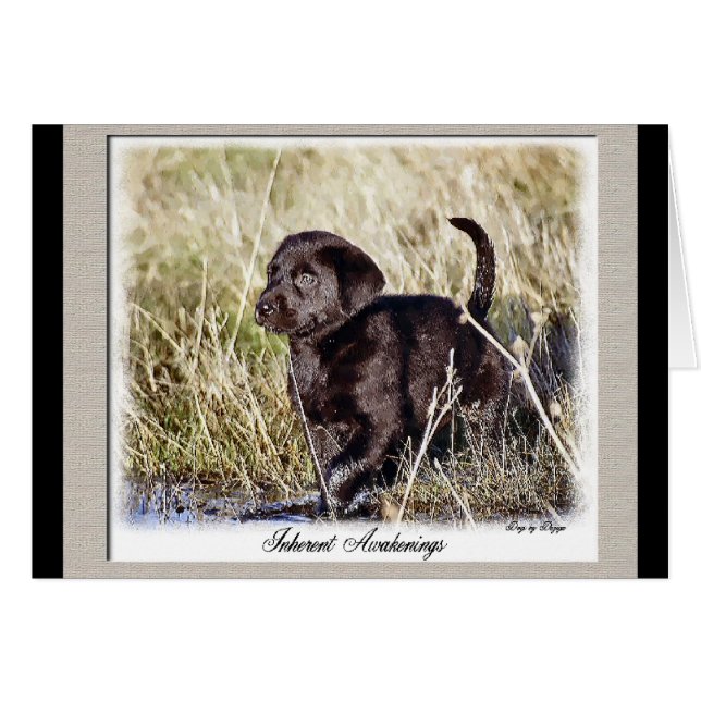 Labrador Retriever Geschenke (Vorderseite (Horizontal))
