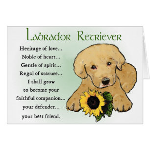 Labrador Retriever Geschenke