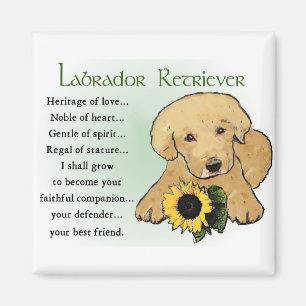 Labrador Retriever Geschenke Magnet