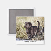 Labrador Retriever Geschenke Magnet (Vorderseite/Rückseite)