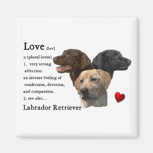 Labrador Retriever Geschenke Magnet (Vorne)
