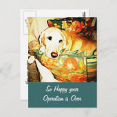 Labrador Retriever Get Well Postcard Postkarte (Vorne/Hinten)