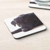 labrador retriever getränkeuntersetzer (Linke Seite)