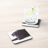 labrador retriever getränkeuntersetzer (Rechte Seite)