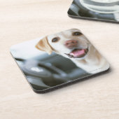 Labrador retriever getränkeuntersetzer (Linke Seite)