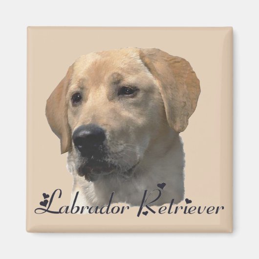 Labrador Retriever gibt Gelbe Labrador Art Magnet (Vorne)