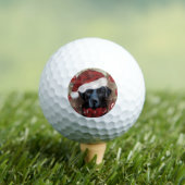 Labrador Retriever Golfball (Insitu T-Shirt)