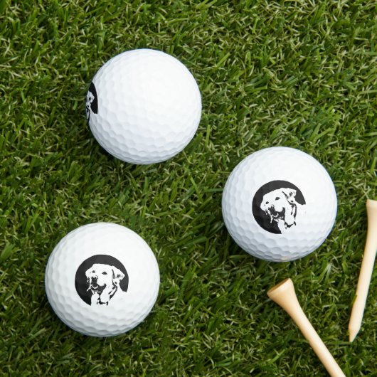 Labrador Retriever Golfball (Insitu Gras)