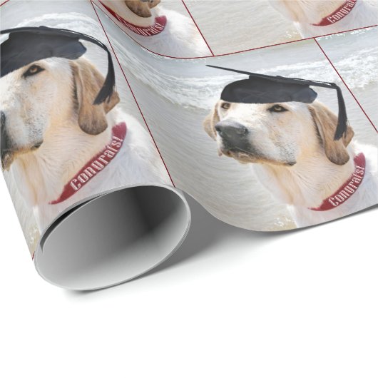 Labrador Retriever Graduate With Cap Geschenkpapier (Rolleneckpunkt)
