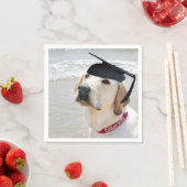 Labrador Retriever Graduate With Cap Serviette (Beispiel)
