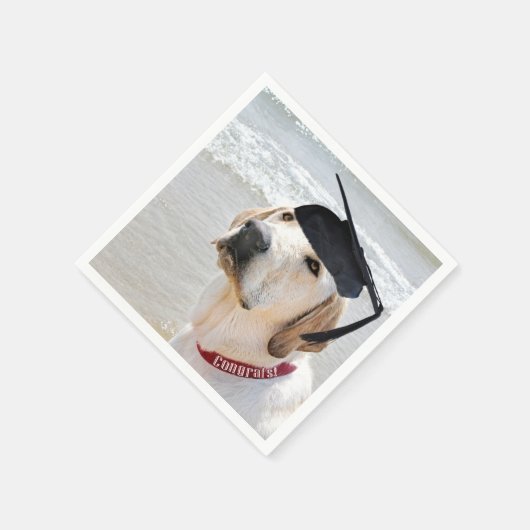 Labrador Retriever Graduate With Cap Serviette (Ecke)