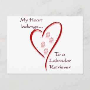 Labrador Retriever Heart Belongs Postkarte