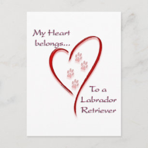 Labrador Retriever Heart Belongs Postkarte