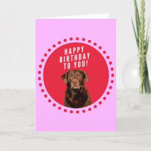 Labrador Retriever Hund Happy Birthday Card Karte