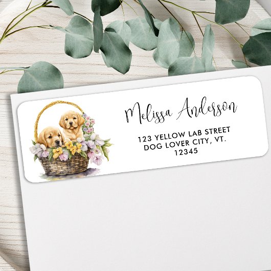 Labrador Retriever Hund Niedliche Welpen Rücksende