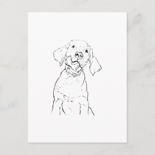 Labrador Retriever Hund Postkarte (Vorderseite)