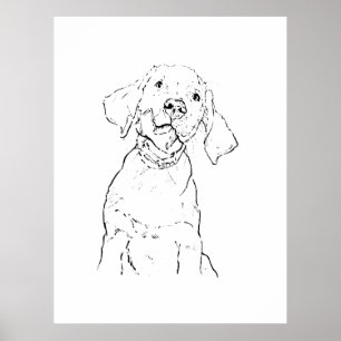 Labrador Retriever Hund Postkarte Poster