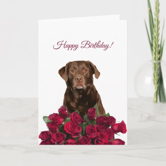 Labrador Retriever Hund Rose Happy Birthday Card Karte (Vorderseite)