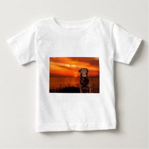 Labrador Retriever Hund sitzend neben Sonnenunterg Baby T-shirt